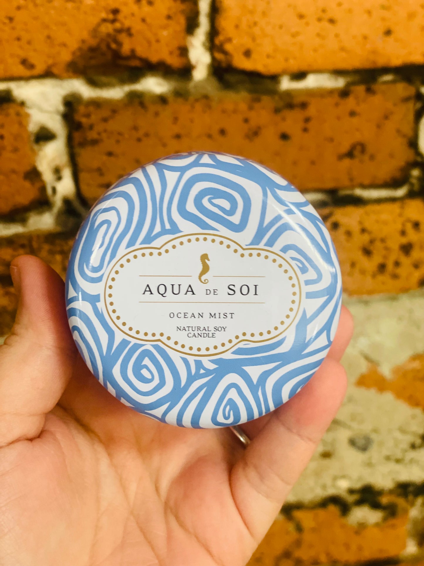 4oz Ocean Mist Petite Tin Candel