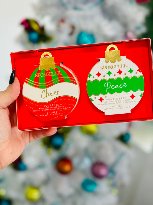 Celebrate The Season Holiday Ornament Gift Set